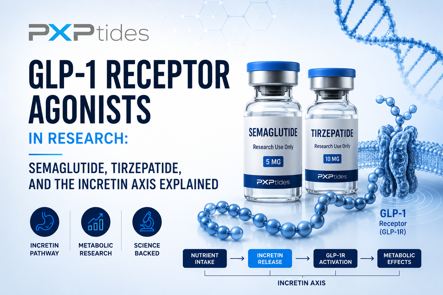 GLP-1 Receptor Agonists in Research: Semaglutide, Tirzepatide, and the Incretin Axis Explained header image